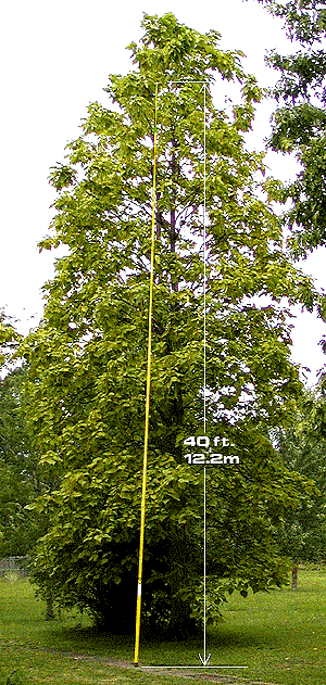 12 meter fiberglass pole